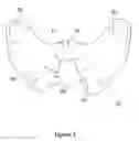 Fig. 04 - Flexible face mask apparatus