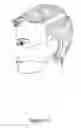Fig. 16 - Flexible face mask apparatus
