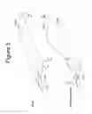 Fig. 07 - Protective covering
