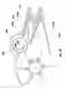 Fig. 19 - Fluid-powered liquid-dispenser apparatus