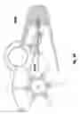 Fig. 33 - Fluid-powered liquid-dispenser apparatus