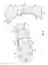 Fig. 07 - Article of footwear with a detachable wrap