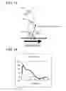 Fig. 13 - Sole Structure for a Shoe