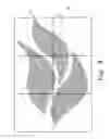 Fig. 07 - PATTERN/CHARACTER DISPLAYING LED LAMP STRUCTURE WITH INVISIBLE T-BAR SUPPORT