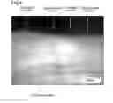 Fig. 05 - Mat, method for manufacturing the mat, and apparatus for purifying exhaust gas