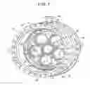 Fig. 02 - Segmented annular ring-manifold quaternary fuel distributor