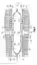 Fig. 03 - Evaporator having cold thermal energy storage function