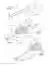 Fig. 02 - Horizontal hybrid collapsing steering column
