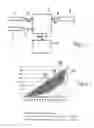 Fig. 02 - Method and apparatus for manual acceleration in motor vehicles