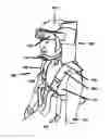 Fig. 01 - SPINAL IMMOBILIZATION