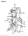 Fig. 02 - SPINAL IMMOBILIZATION