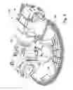 Fig. 07 - Offset Inlet Dishwasher Pumps