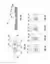 Fig. 04 - PHOTOVOLTAIC MODULE WITH BACK BOX AND  ASSEMBLY METHOD THEREFOR