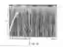 Fig. 03 - CARBON NANOTUBE ASSEMBLY, SOLAR CELL, WAVEGUIDE AND SUBSTRATE WITH THE SAME CARBON NANOTUBE ASSEMBLY