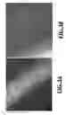Fig. 05 - System and method for scale inhibition