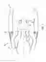 Fig. 02 - OVERPRESSURE HATCH INTENDED TO BE MOUNTED ON A WALL OF A TURBOJET ENGINE NACELLE