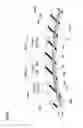 Fig. 05 - Pneumatic tire and producing method thereof