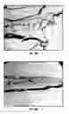 Fig. 07 - Methods relating to improved stimulation treatments and strengthening fractures in subterranean formations