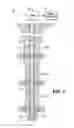 Fig. 02 - Indexing sleeve for single-trip, multi-stage fracing