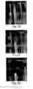 Fig. 13 - DEPOSITION OF NANOWIRES AND OTHER NANOSCALE OBJECTS ON SURFACES