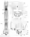 Fig. 01 - Inner bit disposed within an outer bit