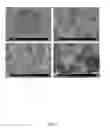 Fig. 08 - MONOLITHIC COLUMN TECHNOLOGY FOR LIQUID CHROMATOGRAPHY