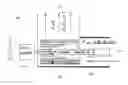 Fig. 01 - Photo-catalyzing fluid mobilizing system and method