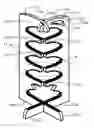 Fig. 01 - Plate stand for random assortment of plates