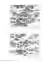 Fig. 04 - TEXTURE PROCESSING LIQUID FOR TRANSPARENT CONDUCTIVE FILM MAINLY COMPOSED OF ZINC OXIDE AND METHOD FOR PRODUCING TRANSPARENT CONDUCTIVE FILM HAVING RECESSES AND PROJECTIONS