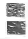 Fig. 05 - TEXTURE PROCESSING LIQUID FOR TRANSPARENT CONDUCTIVE FILM MAINLY COMPOSED OF ZINC OXIDE AND METHOD FOR PRODUCING TRANSPARENT CONDUCTIVE FILM HAVING RECESSES AND PROJECTIONS