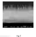 Fig. 05 - Super-Hydrophobic Surfaces, Methods of Their Construction and Uses Therefor