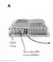 Fig. 01 - Multifunctional CNT-engineered structures