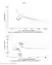 Fig. 12 - Multifunctional CNT-engineered structures