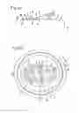 Fig. 04 - Beverage can lid
