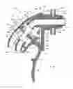 Fig. 07 - Beverage Dispensing Spigot