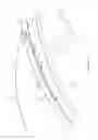 Fig. 03 - Illuminated vehicle article carrier