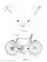 Fig. 04 - Bicycle carrier