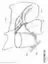 Fig. 09 -  Cup Holder