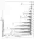 Fig. 11 - MASS SPECTROMETRIC DETERMINATION OF COOKSON-DERIVATIZED, NON-METABOLIZED VITAMIN D