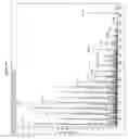 Fig. 14 - MASS SPECTROMETRIC DETERMINATION OF COOKSON-DERIVATIZED, NON-METABOLIZED VITAMIN D