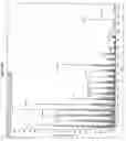 Fig. 20 - MASS SPECTROMETRIC DETERMINATION OF COOKSON-DERIVATIZED, NON-METABOLIZED VITAMIN D