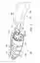 Fig. 02 - Integrated footwear sanitizing and deodorizing system