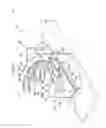 Fig. 04 - OPTICAL TOMOGRAPHIC MEASURING DEVICE