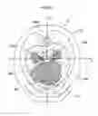Fig. 10 - OPTICAL TOMOGRAPHIC MEASURING DEVICE