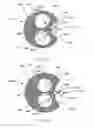 Fig. 14 - Fluorometric sensor