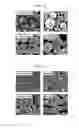 Fig. 03 - Positive active material, and positive electrode and lithium battery including positive active material