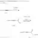 Fig. 14 - Optically active compound having polymerizable group and its polymer
