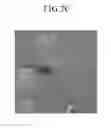 Fig. 09 - Nanoparticle-resin composition, nanoparticle-resin composite, and method of making nanoparticle-resin composite