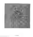 Fig. 04 - Hydrazine-free solution deposition of chalcogenide films