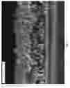 Fig. 13 - Integrated semiconductor nanowire device
